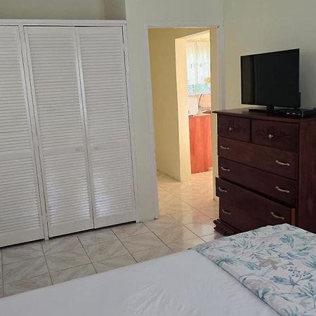 Wizzy Apartment White River Ocho Rios Kültér fotó