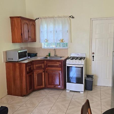 Wizzy Apartment White River Ocho Rios Kültér fotó