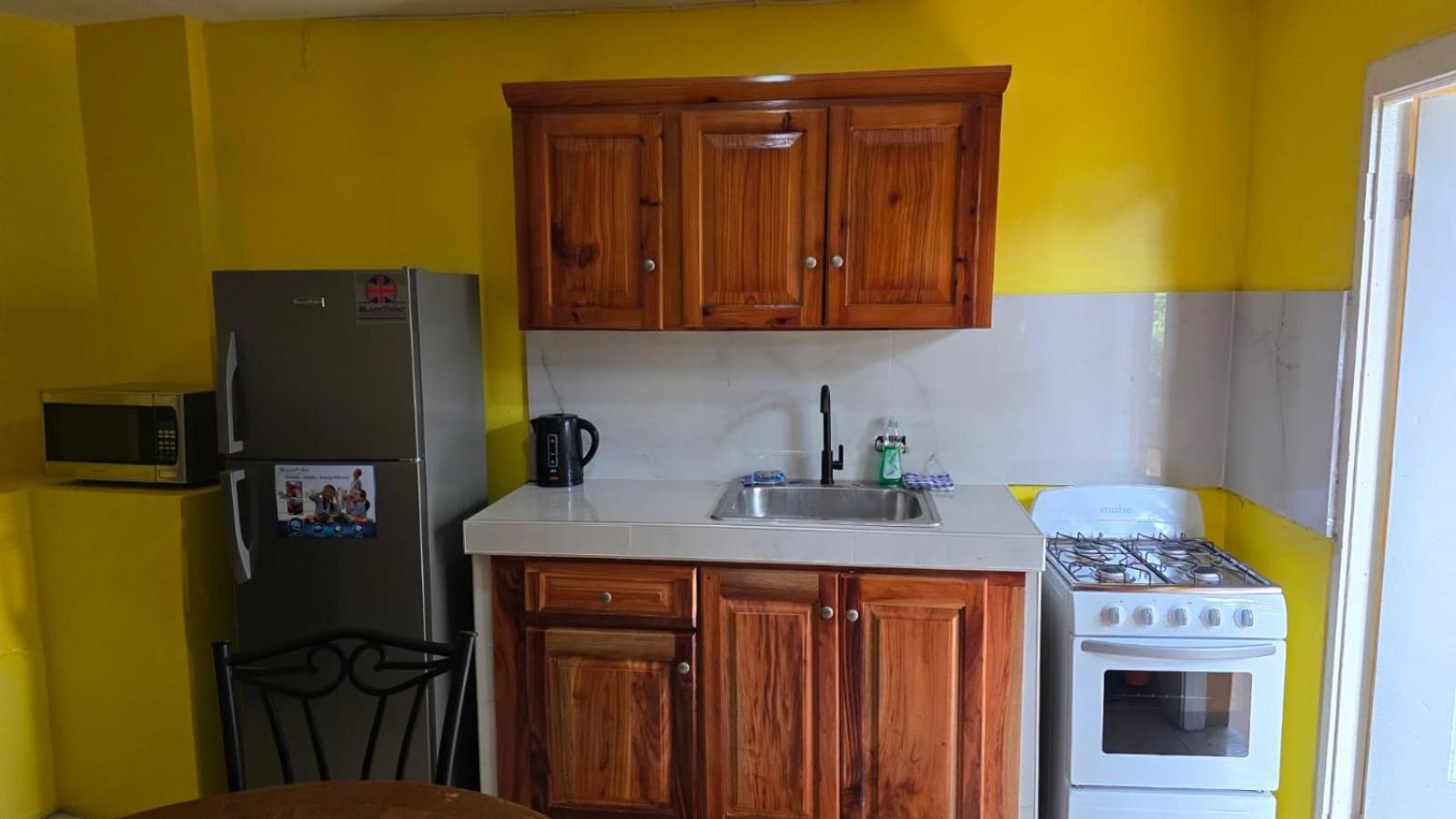 Wizzy Apartment White River Ocho Rios Kültér fotó
