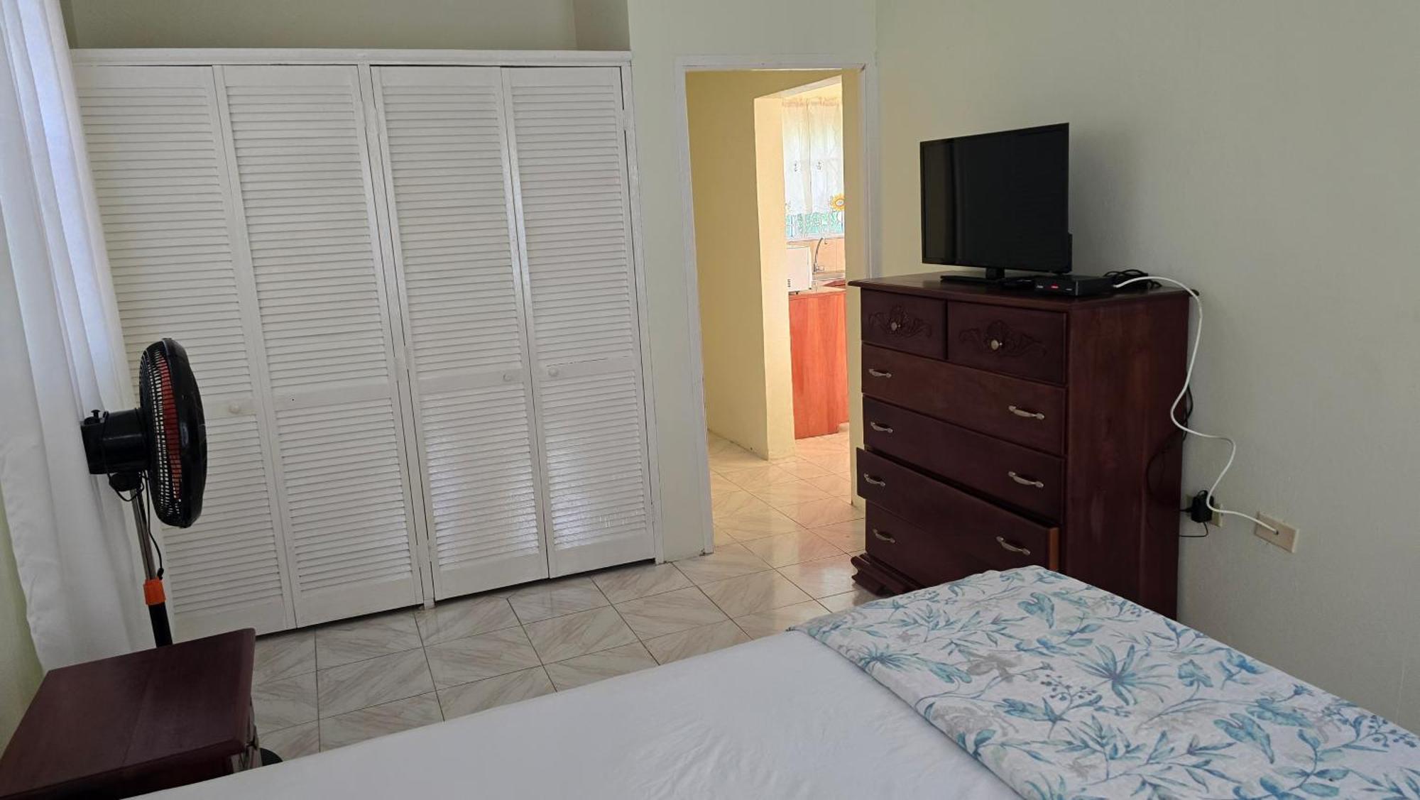 Wizzy Apartment White River Ocho Rios Kültér fotó