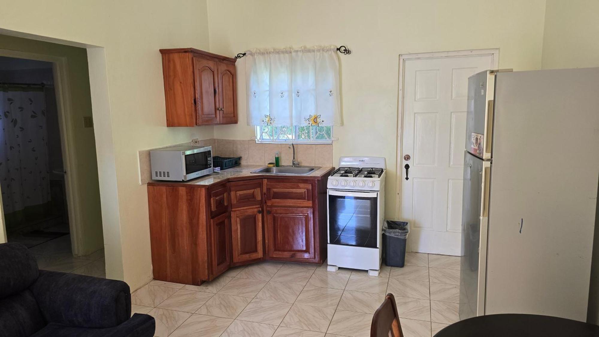 Wizzy Apartment White River Ocho Rios Kültér fotó